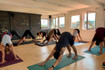 Bild 1 von Yoga Nebenan @ P104 Partnergalerie