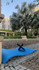Imagem 1 da galeria do parceiro BL Trainer