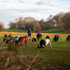 Image 2 from BMF Guildford Park partner gallery