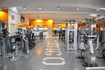 Immagine 5 dalla galleria del partner Atletico Sport Club Associazione Sportiva Dilettantistica