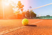 Immagine 2 dalla galleria del partner Tennis Arca Di Spada Angelo