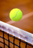 Immagine 5 dalla galleria del partner Tennis Arca Di Spada Angelo