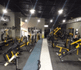Imagem 5 da galeria do parceiro SPORT FITNESS ACADEMIA