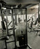 Imagem 1 da galeria do parceiro Academia nutri body