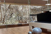 Imagen 2 de la galería del partner The Pilates Room