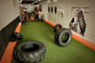 Bild 3 von Day Night Sports Potsdam Partnergalerie