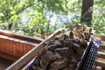 Bild 2 von Katzwangbad Partnergalerie