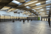 Image 1 from Crossfit Fauna partner gallery