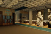 Imagen 5 de la galería del partner Citius Health Fitness & Performance