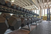 Bild 2 von Blue Star Fitness Partnergalerie