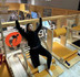 Bild 5 von Vital-Aktiv-Prignitz Partnergalerie