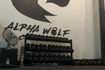 Imagen 8 de la galería del partner Alpha Wolf Wellness Center