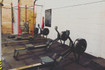 Imagen 9 de la galería del partner Alpha Wolf Wellness Center