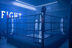 Imagen 1 de la galería del partner 12 Rounds
