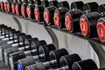 Bild 4 von EVE ADAM FITNESS Partnergalerie