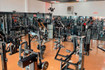 Imagem 4 da galeria do parceiro Academia Tiger
