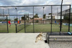 Imagen 2 de la galería del partner Padel Zone Sur