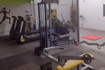 Imagem 4 da galeria do parceiro LG Performance - Personal trainer