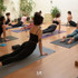 Immagine 1 dalla galleria del partner Yogamilan