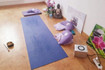 Bild 3 von Yoga Zentrum Bala Shanti Mannheim Partnergalerie