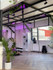 Imagen 2 de la galería del partner DA Wellness Studio