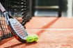 Immagine 2 dalla galleria del partner Open sport village