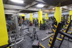 Imagen 3 de la galería del partner Vital Gym Matriz