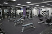 Image 7 from Anytime Fitness Totton partner gallery