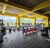 Imagen 3 de la galería del partner Vital Gym Xoxo