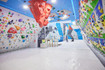 Imagen 1 de la galería del partner Indoorwall Hospitalet