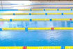 Imagen 4 de la galería del partner Highlands El Encinar