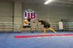 Imagen 4 de la galería del partner Undisputed Boxing