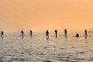 Imagen 8 de la galería del partner SUP & SAIL