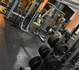 Imagem 2 da galeria do parceiro Sporty Trainer
