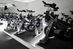 Image 4 from Ride at Tribe partner gallery