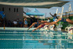 Imagen 1 de la galería del partner Blue Lane San José del Cabo