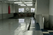 Imagem 1 da galeria do parceiro Lion Bros - jiu jitsu e Muay Thai
