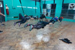 Imagen 2 de la galería del partner Bungee Club