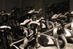 Imagen 2 de la galería del partner Bixi Studio