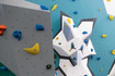 Imagen 6 de la galería del partner Indoorwall Jaca