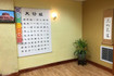 Image 4 from Body & Brain Yoga Tai Chi partner gallery