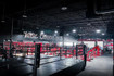 Image 2 from Self Made Training Facility Gilbert partner gallery