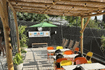 Imagem 4 da galeria do parceiro Miami Beach Tennis