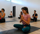 Image 1 from My Vinyasa Practice partner gallery