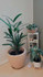 Imagem 2 da galeria do parceiro Sankalpa Studio de Yoga