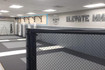 Image 1 from ELEVATE MMA partner gallery