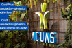 Imagem 11 da galeria do parceiro Acuas Fitness - 413 Sul