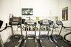 Imagen 1 de la galería del partner NITRO Fitness & Health