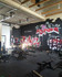 Imagen 3 de la galería del partner Gimnasio La Forja