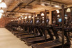 Bild 2 von Gold's Gym Jena Partnergalerie